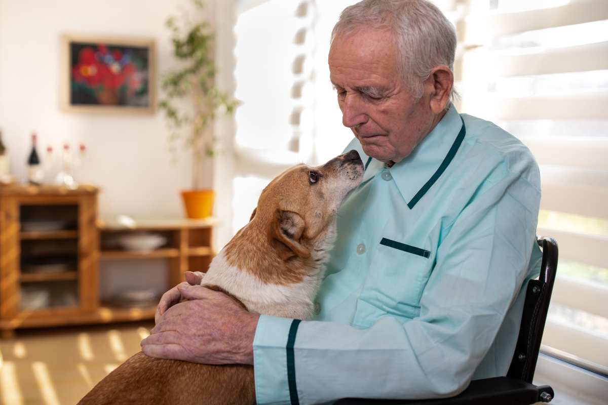 The Benefits and Considerations of Pet Ownership